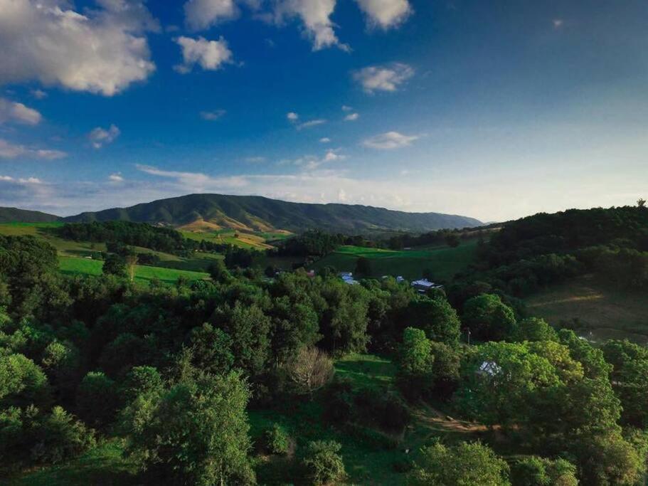 Вілла Foxtail Orchards - The Fox Den Tazewell Екстер'єр фото